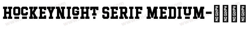 Hockeynight Serif Medium字体转换